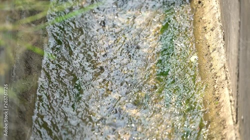 Shining shallow stream flow along the irrigation canal.