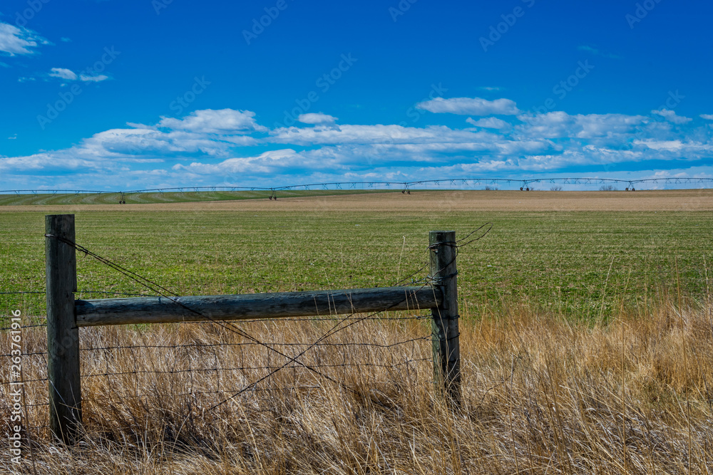 fence in a field fence in a field