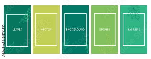 Social media stories banners set, story, minimalistic templates with leaves for cover, flyier, brochure, vector green backgrounds collection. photo
