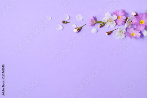 Flowers composition. Cherry Blossoms and flower on pastel purple background. Spring concept. Flat lay, top view, copy space