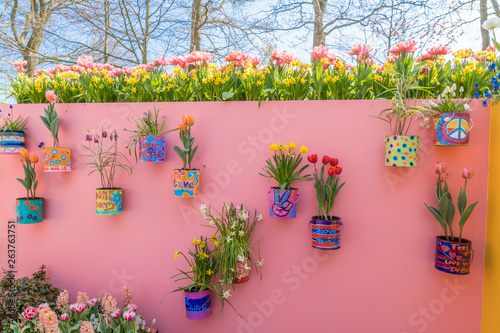 Valokuva Tulipes Keukenhof