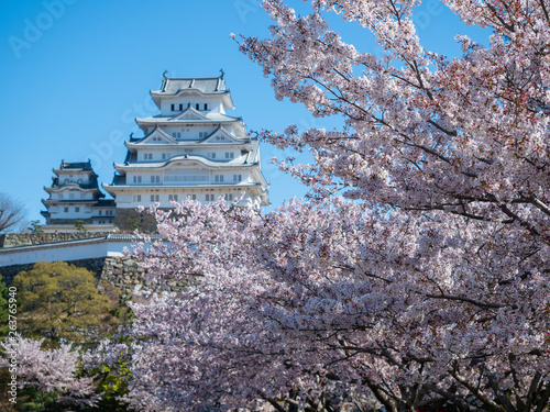 Landscape of Himeji Castle in spring.