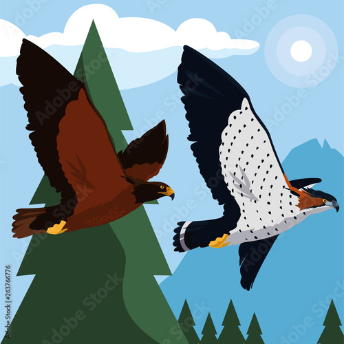 beautiful eagle and hawk flying in the landscape