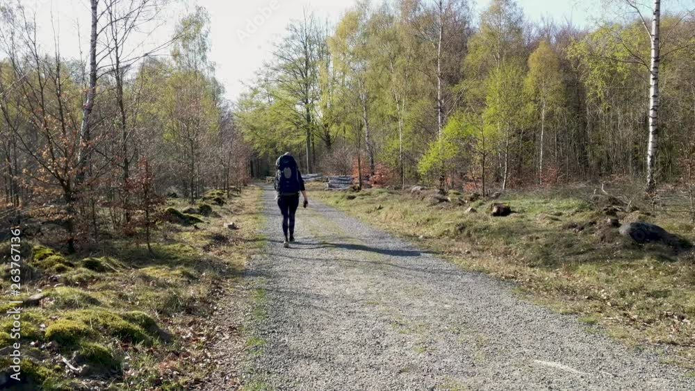 Woman solo hike during spring on a dirt road Woman solo hike during spring on a dirt road