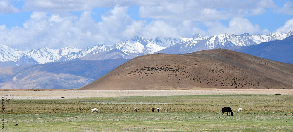 Mountains on the shore of lake Rakshas Tal (Langa-Tso) in summer in cloudy weather Mountains on the shore of lake Rakshas Tal (Langa-Tso) in summer in cloudy weather