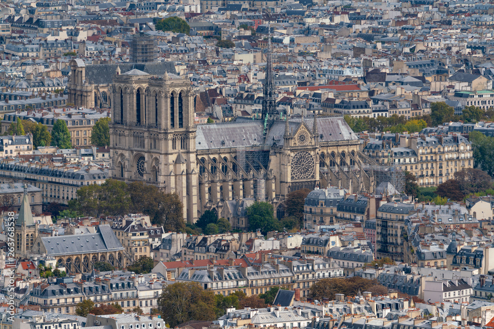 Fototapeta premium Cathedrale Notre-Dame de Paris