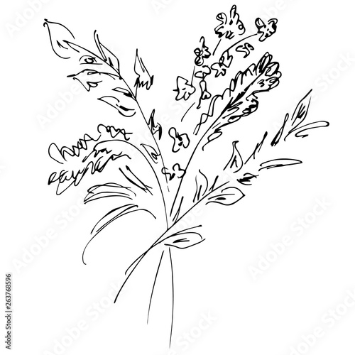 Hand Drawn  Illustrations Of Abstract Bouquet of Flowers Isolated on White. Hand Drawn Sketch of a Flowers