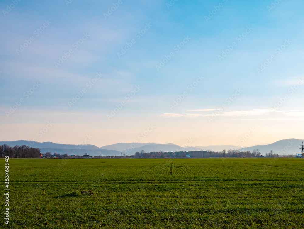Fototapeta premium spring green fields in the mountains