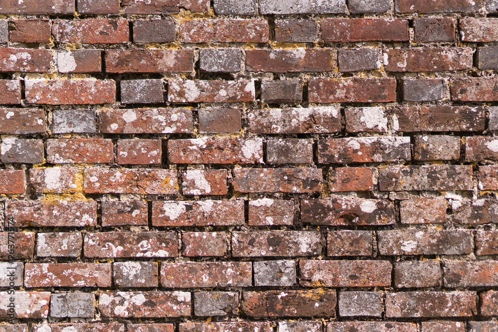 Fototapeta premium Old Brick Wall