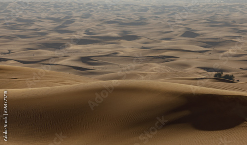 Dunes in the desert.