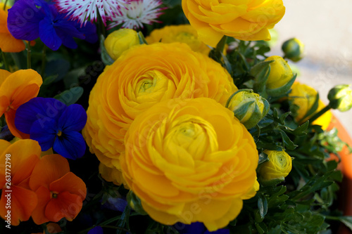Blumengesteck © Janet Worg