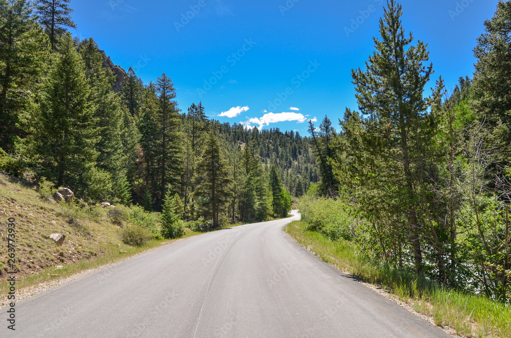 Guanella Pass road in Rocky Mountains (Pike and San Isabel National Forest, Park County, Colorado, USA)