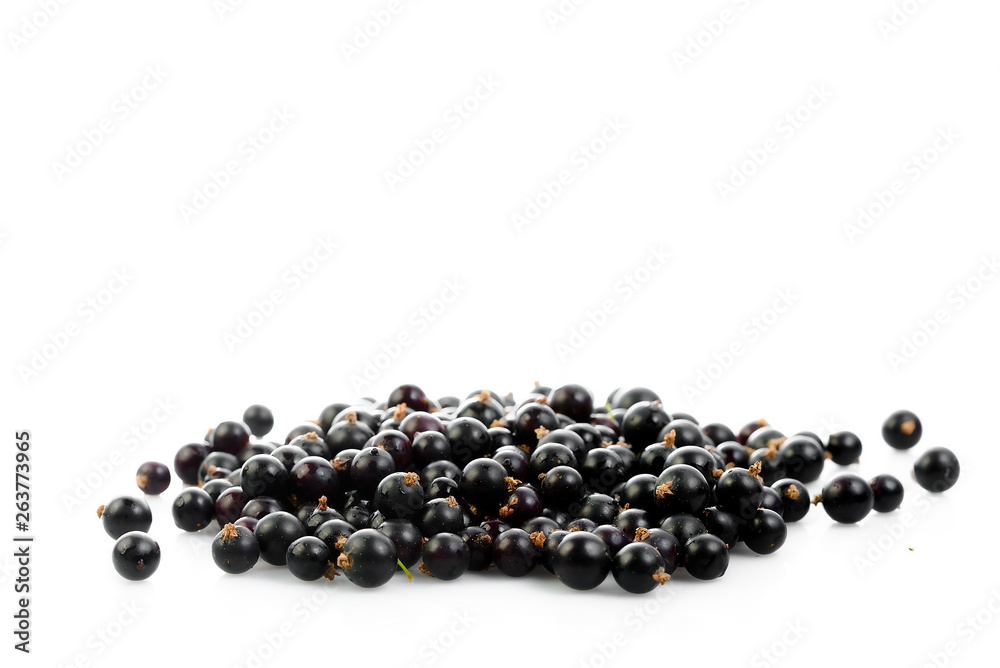 Black currant isolated on white Black currant isolated on white