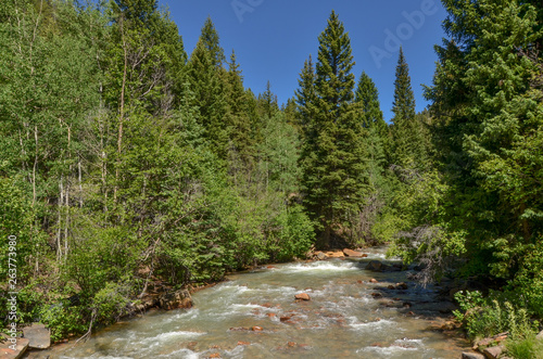 Geneva Creek near Guanella Pass Road (Pike and San Isabel National Forest, Park County, Colorado, USA) photo