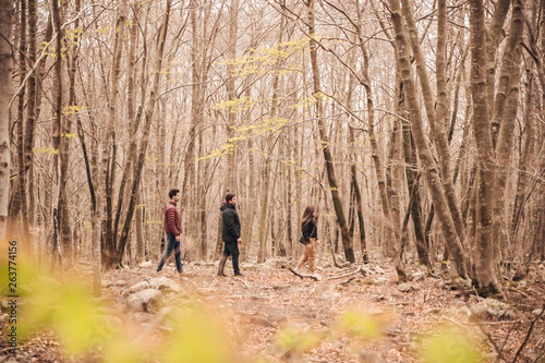 Friends walking through forest in autumn