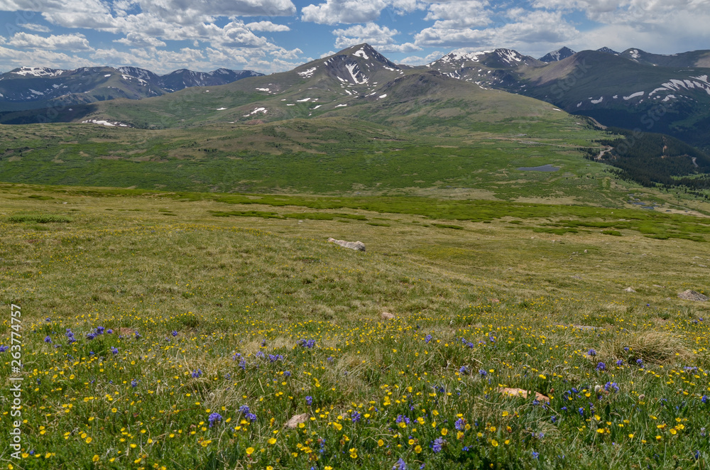 scenic view of Guanella Pass and alpine meadows at Mount Bierstadt (Clear Creek County, Colorado, USA)