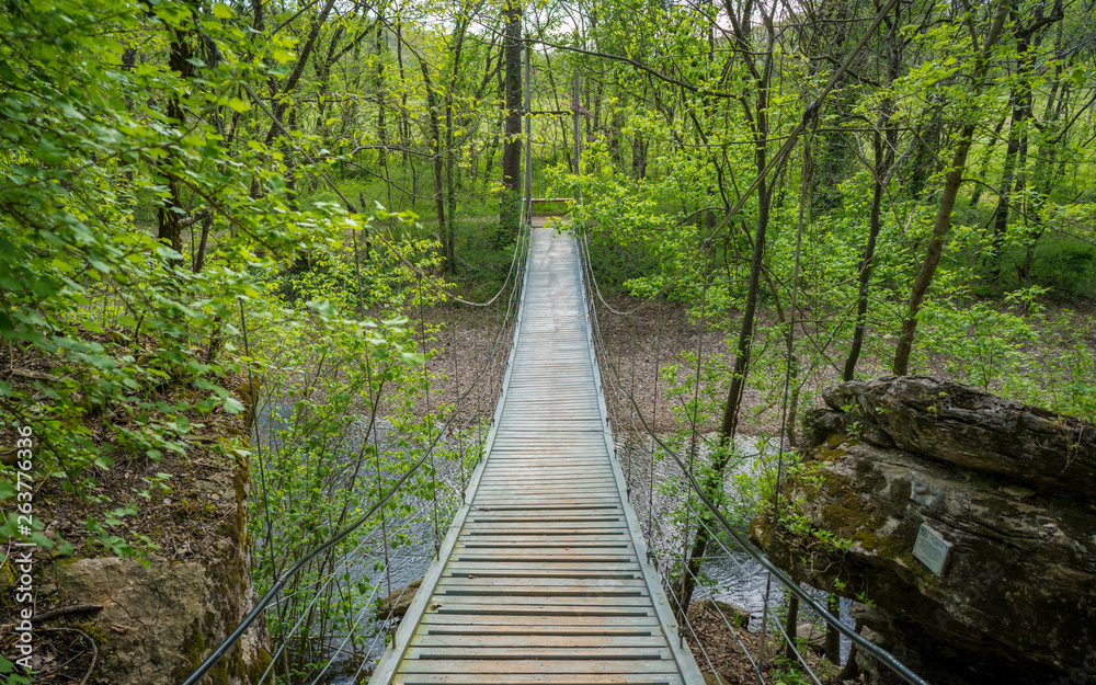 Suspension bridge at Tanyard Creek Nature Trail Suspension bridge at Tanyard Creek Nature Trail