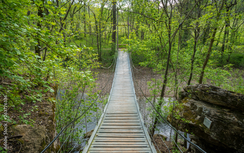 Suspension bridge at Tanyard Creek Nature Trail