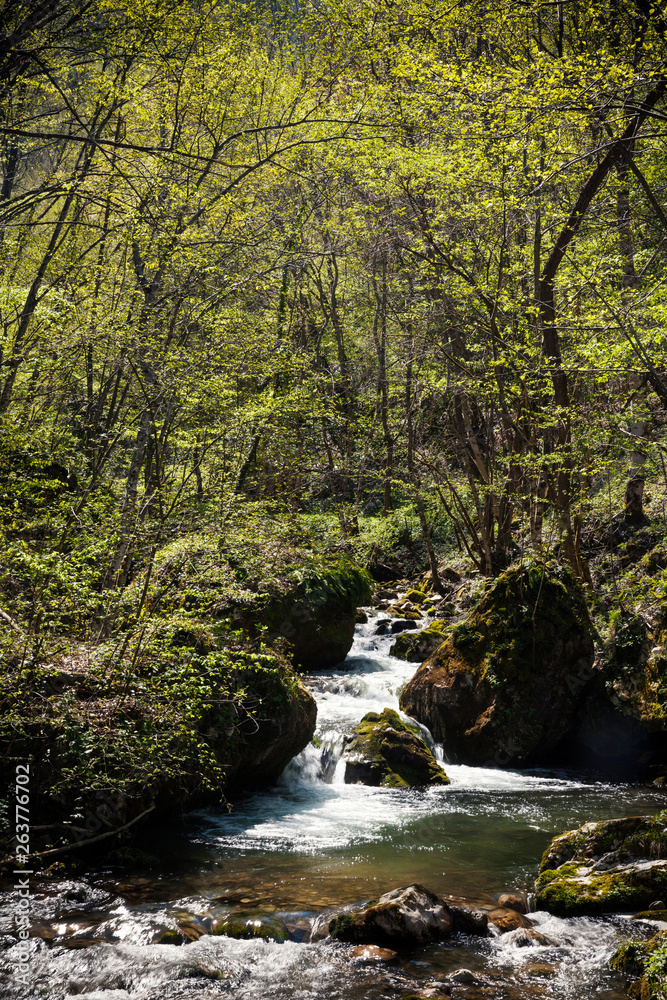 small mountain stream