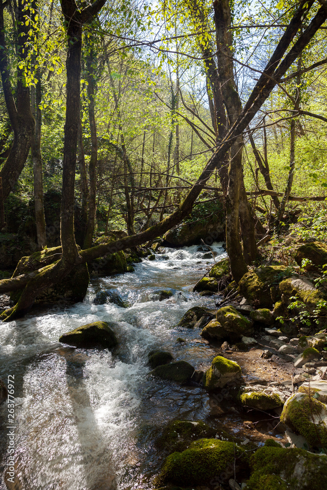 Obraz premium small mountain stream