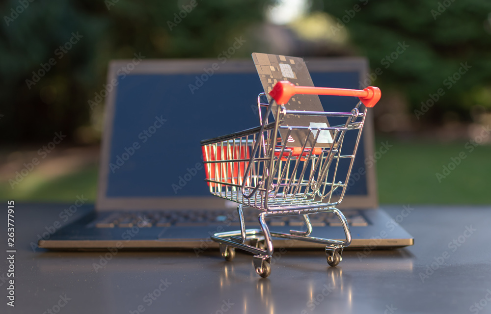 Concept of online grocery shopping. A miniature shopping cart with a credit card is standing an a Notebook.