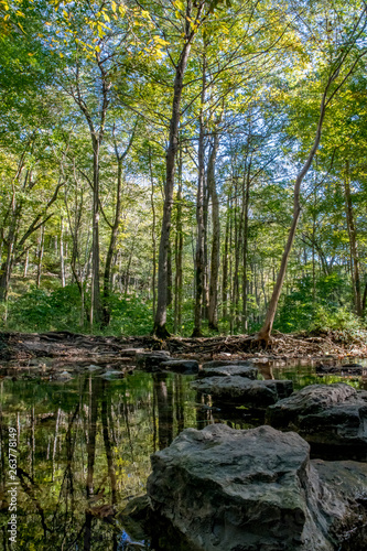 Stepping Stones across Birch Creek in Glen Helen Nature Preserve by Yellow Springs  Ohio