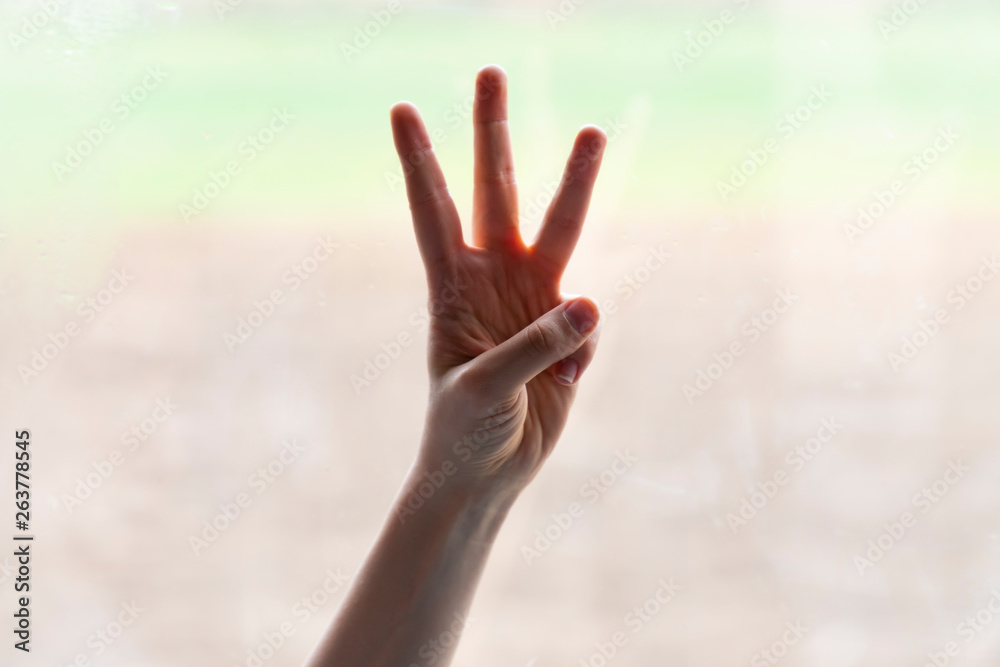 Hand of woman in number 3 gesture isolated on blurred background Hand of woman in number 3 gesture isolated on blurred background