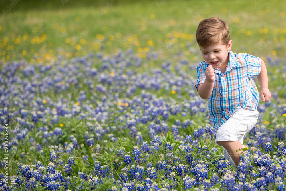 Young Toddler Boy Picking Flowers in Field of Blue Bonnets in Texas Young Toddler Boy Picking Flowers in Field of Blue Bonnets in Texas
