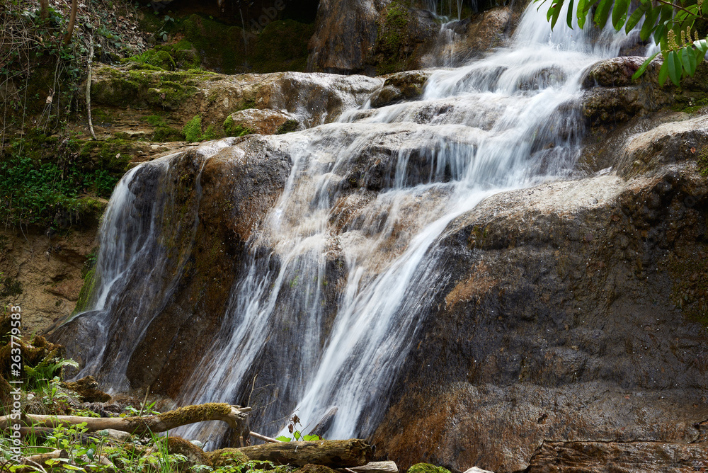 Fototapeta premium Dorfbach mit Wasserfall im Erlenbacher Tobel, verwischtes Wasser, Stufen, Aeste, Steine, Moos, grüne Blätter