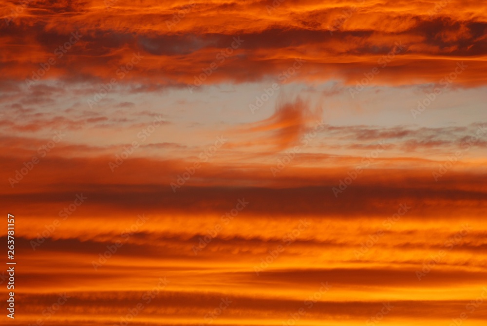 Clouds; Golden nimbostratus at sunrise.