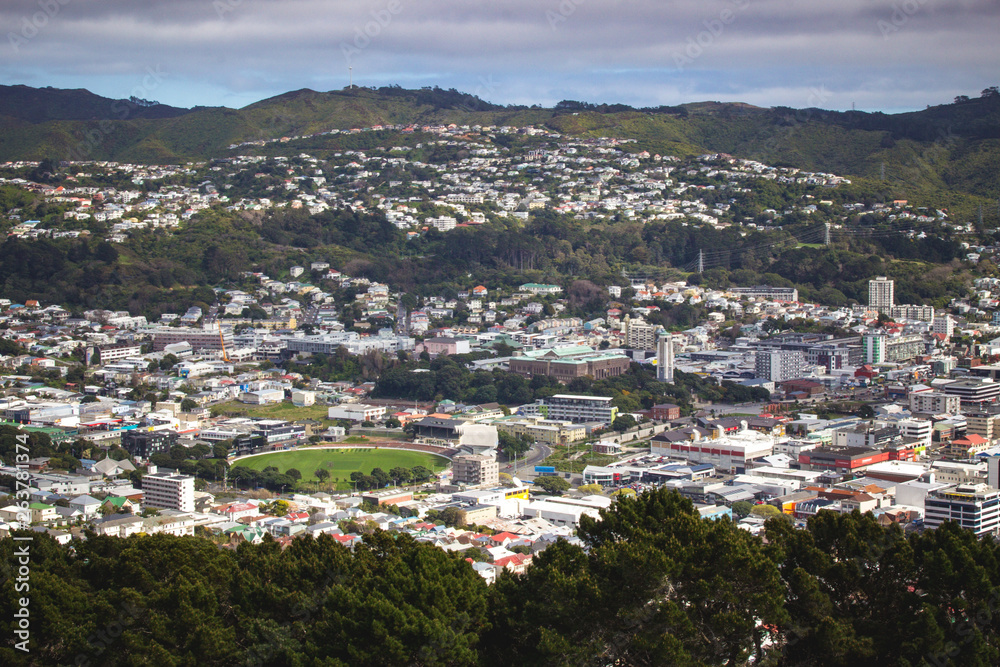 Wellington city view in New Zealand