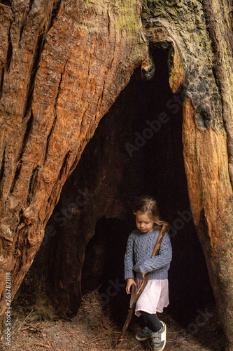 A young girl walking inside of a tree while on a hike.
