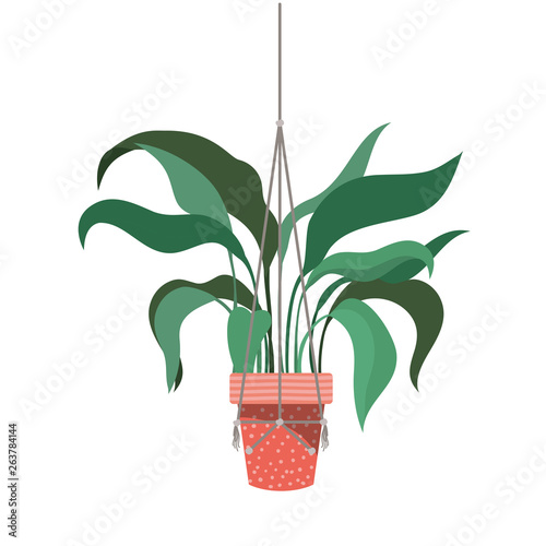 houseplant on macrame hangers icon