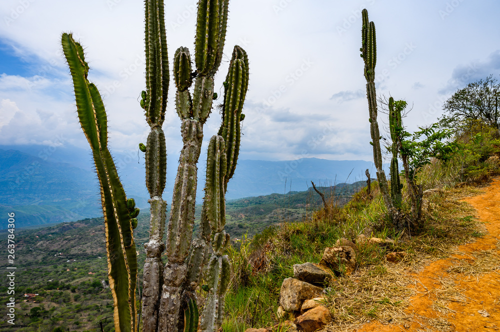 Paisaje, Barichara, Santander, Colombia, Paisaje, Barichara, Santander, Colombia,