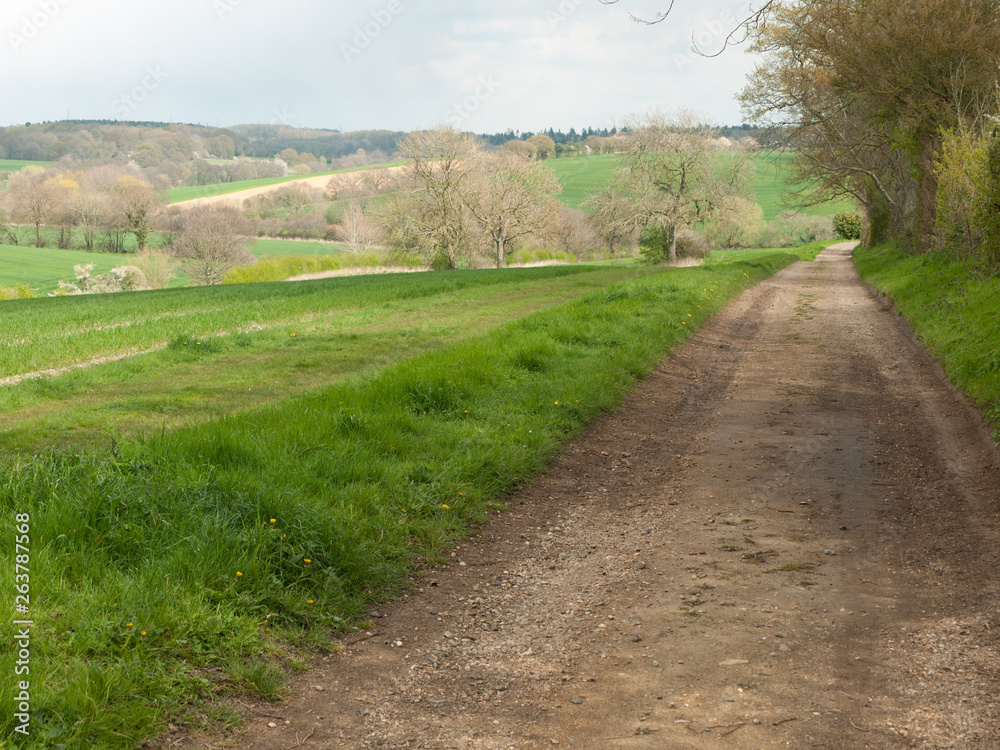 Fototapeta premium Beautiful outside country spring fields meadows trees sky farmland
