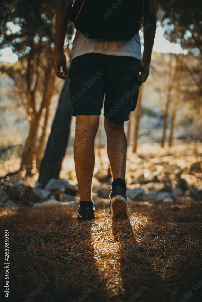 Exploring woods Exploring woods