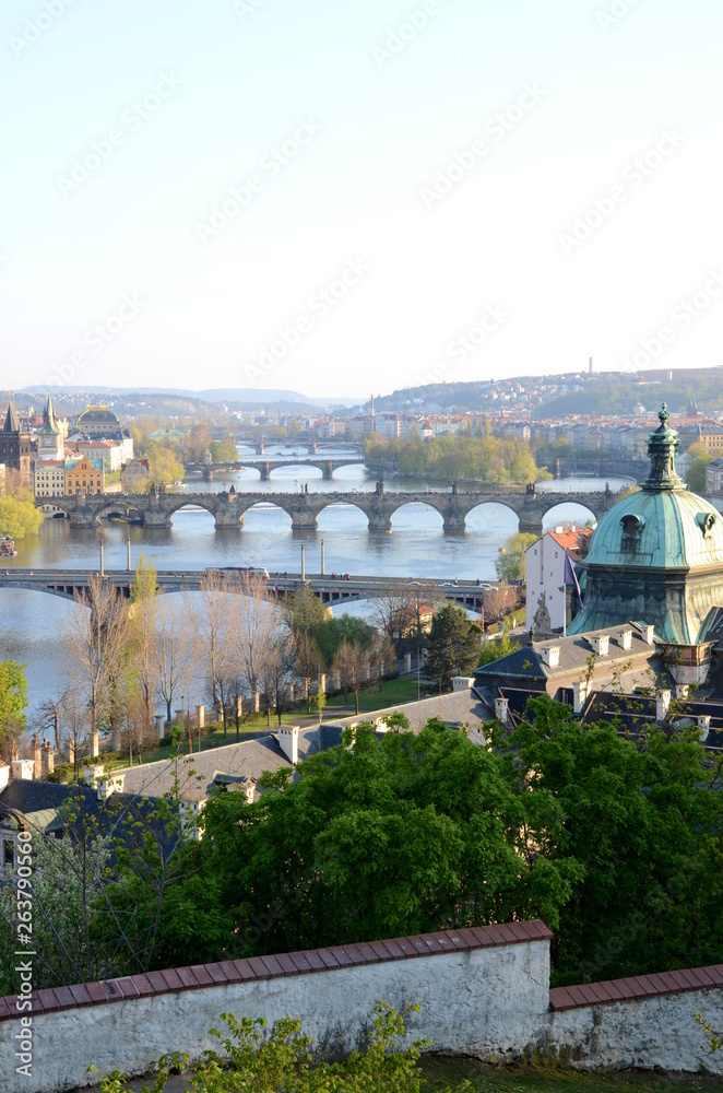 Obraz premium Bridges of Prague in spring