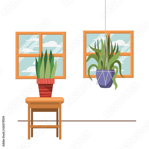houseplants on macrame hangers and table