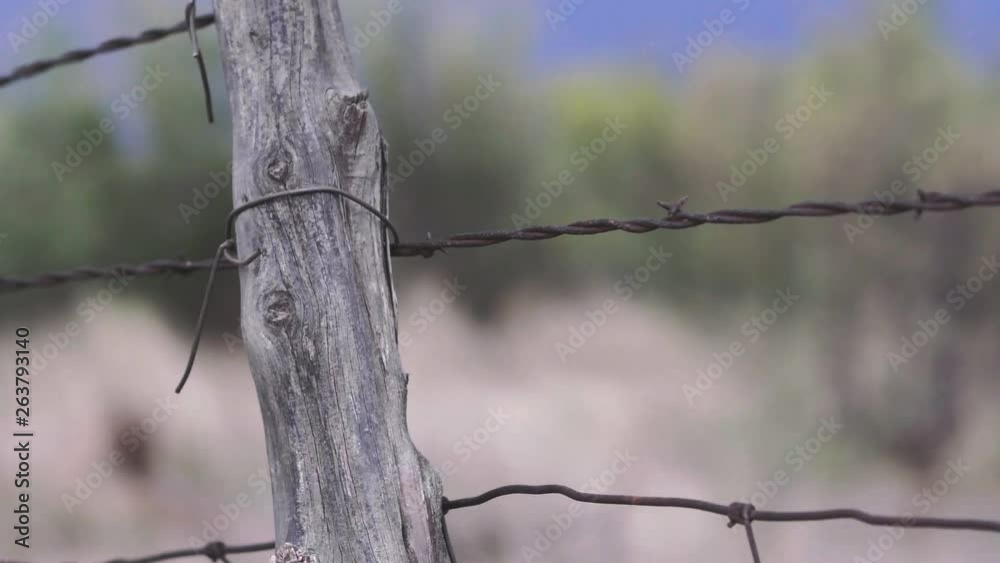Slow motion close up view of male hands adding new wire ties to a cedar post on a wire fence in West, Texas, 23.98 fps, 4K. Slow motion close up view of male hands adding new wire ties to a cedar post on a wire fence in West, Texas, 23.98 fps, 4K.