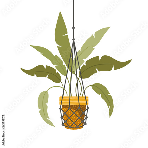 houseplant on macrame hangers icon