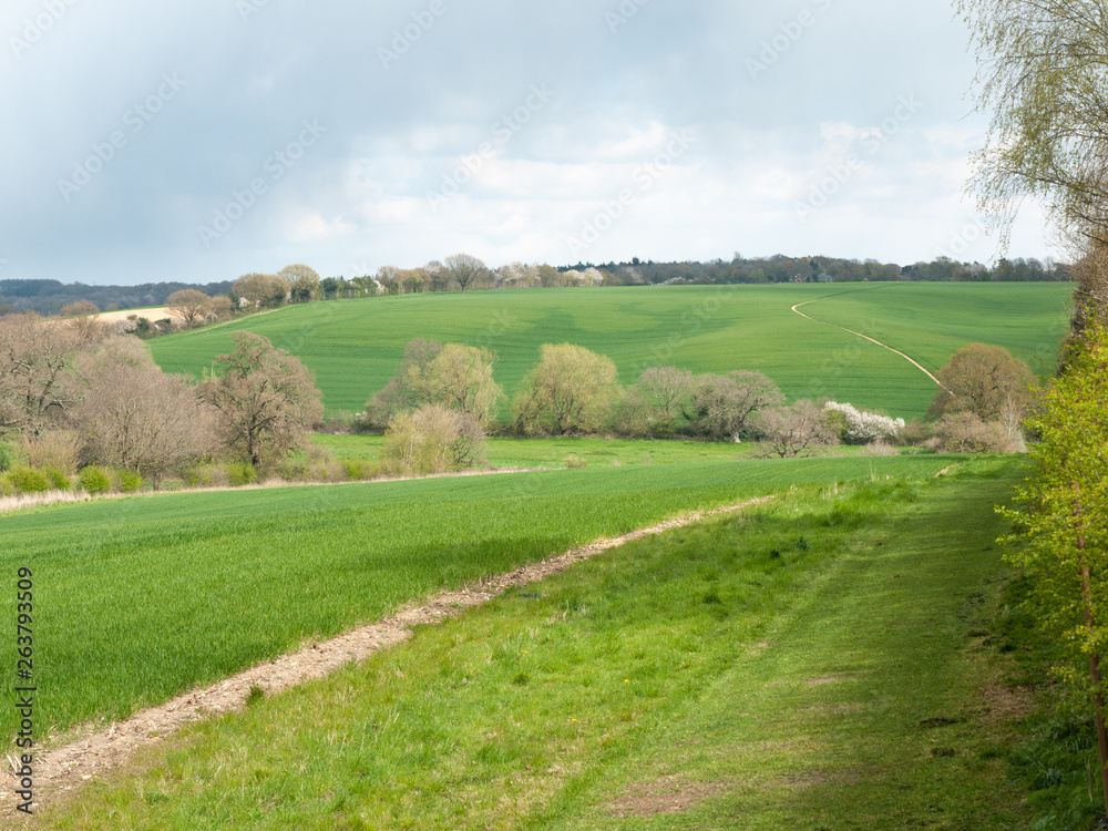 Beautiful outside country spring fields meadows trees sky farmland Beautiful outside country spring fields meadows trees sky farmland