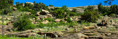 Panorama of cacti and rocks at Enchanted Rock State Natural Area near Fredericksburg, Texas