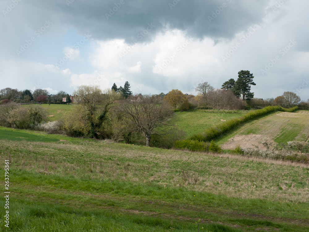 Beautiful outside country spring fields meadows trees sky farmland Beautiful outside country spring fields meadows trees sky farmland