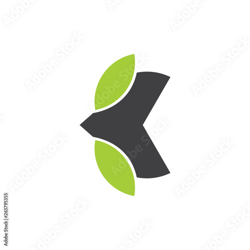 letter k leaf geometric logo vector