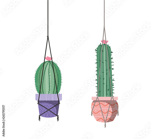 cactus on macrame hangers isolated icon
