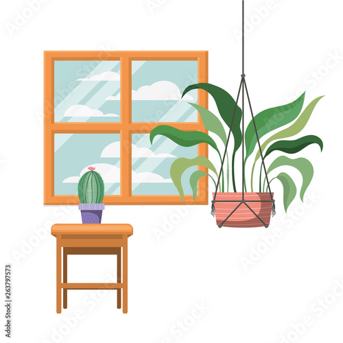 houseplants on macrame hangers and table