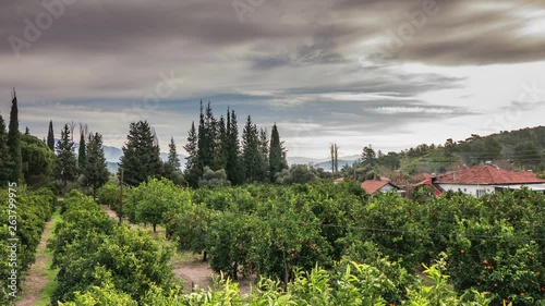 Countryside Life, Garden, House, Cypresses, Sea View.