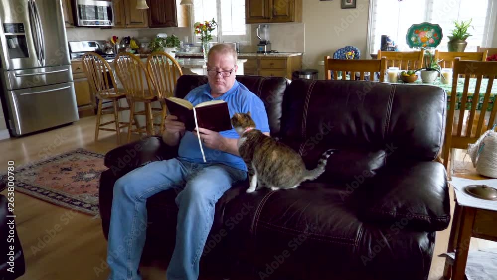 A man tries to read a book while his pet cat begs for attention