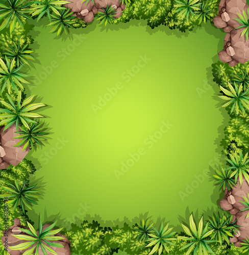 A aerial garden view