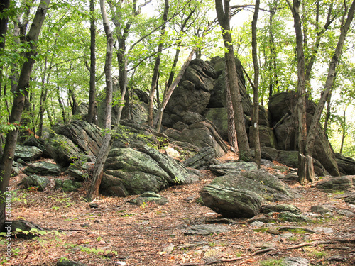Fototapeta Large limestone rock formations along the Appalachian Trail